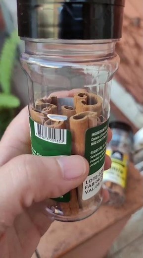 Canela do Ceilão Pau Rama Orgânica Importada 25g Kampo Ervas #dieta