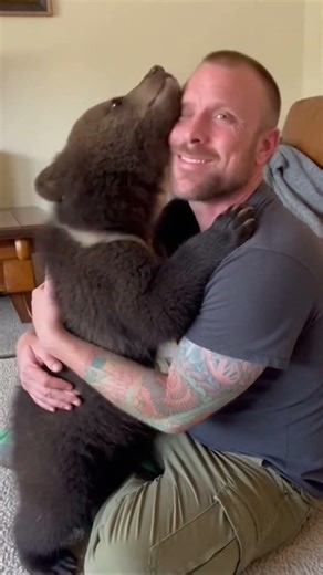 A Cub That Found Peace Again #viral #trending #short