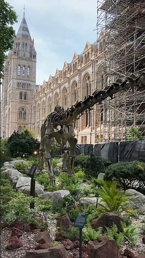 The Ultimate Dinosaur Tour: Natural History Museum London