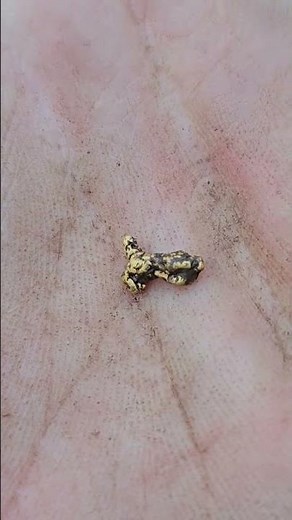 metal detecting for gold nuggets in California