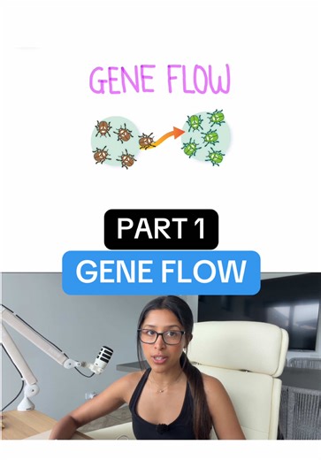 Follow along to learn the difference between gene flow & genetic drift. For the full video breakdowns, check out the link in my bio. #hsc #module6 #geneflow #study #biology