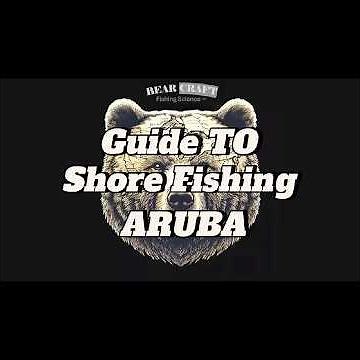 Guide to shore fishing in ARUBA!!!!!