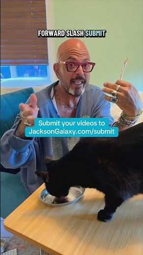 Hey gang, I want to see how you use Inaba Churu to give your cat medicine! #cats #cattips #catvideos