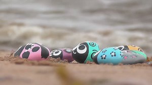 89K views · 630 reactions | A P.E.I. woman has been scattering hundreds of painted ladybug rocks on beach this summer — much to the delight of the people who find them. Created by Pat Martel. More here: www.cbc.ca/1.4300006 | CBC Prince Edward Island | Facebook
