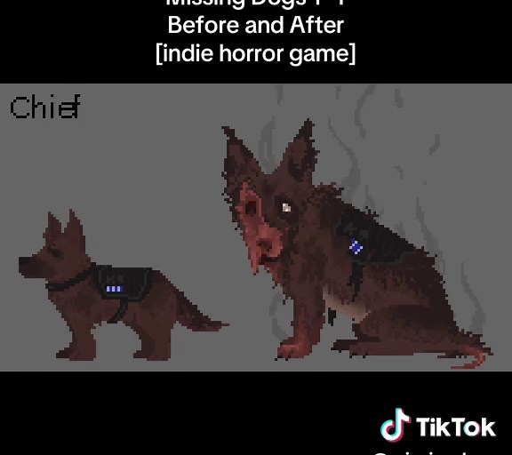 Dog Portrait Transformation: Before and After Story