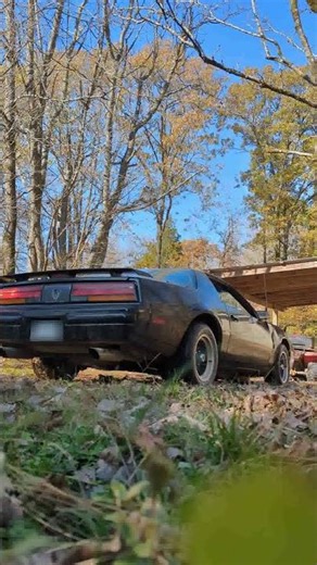 My 1990 Firebird warm idle + rev #pontiac #pontiacfirebird #1990firebird #3rdgenfirebird