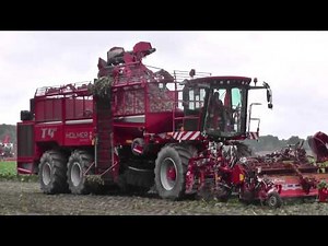 Rübenroden 2014 XXL mit Holmer Terra Dos T3 u. T4-40 Rodern
