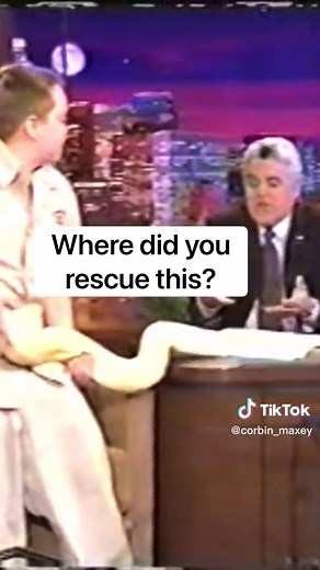 My Pet Python's TV Debut on The Tonight Show