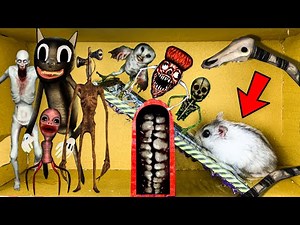 🐹😱 ALL MONSTERS Trevor Henderson Hamster Obstacle Course Maze With Traps 😱 P2
