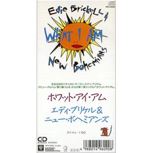 Edie Brickell & New Bohemians - What I Am