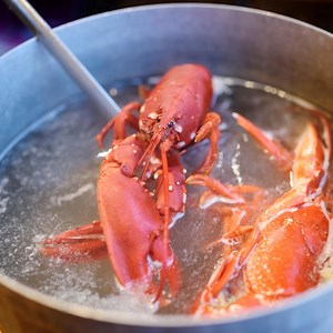 Which is better boiled or steamed lobster? [2025] | QAQooking.wiki