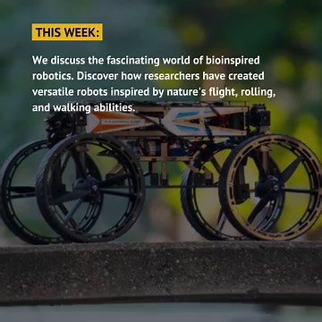 32 reactions · 13 shares | In this The Next Byte Podcast episode, we...