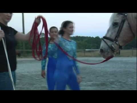 How to Hold a Lunge Line?