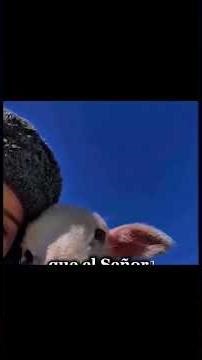 Así es nuestro Dios cuidándonos