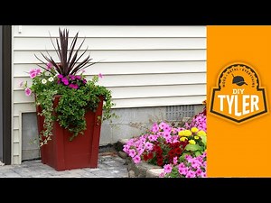 How to Make a DIY Planter