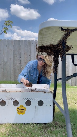 ERIKA THOMPSON | THE BEE LADY on Instagram: "A swarm of bees settled on this table in someone’s backyard and I was called to remove them! You can see and learn more from this removal on YouTube. #bees #beekeeping #beekeeper #nature #animals #insects #savethebees"
