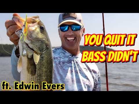 2026 Spinnerbait Setup: The Fix Most Anglers Need