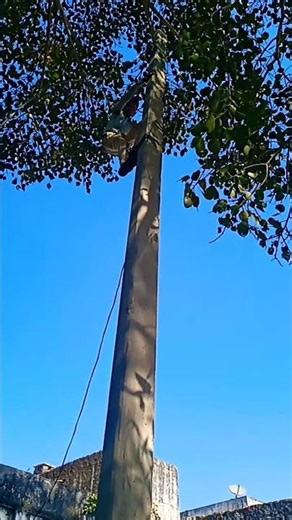 training 🆕new job 2025 JVVNL technician viral video HD studio official channel ‼️