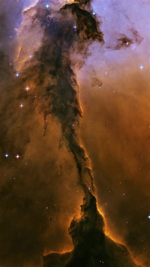 Soar into the Eagle Nebula! 🦅 This tower of cold gas and dust rises out of a star nursery known as the Eagle Nebula. At a height of about 9.5 light-years, the tower is twice as tall as the distance between our Sun and the next nearest star! Stars may be forming inside this tower of gas and dust, created by dense gas collapsing under gravity or due to pressure from gas heated by neighboring hot stars. Music credit: “Asteroids” by Daniel James Arnold [PRS], Leon Paul Harris [PRS], and Liam McGreg