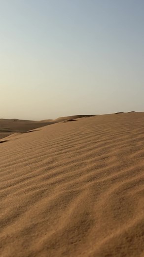 نمو نمو حسابك في الرياض وجدة: نصائح ترويج محلي فعّال