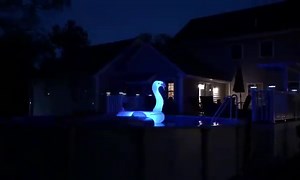 7.1K views · 66 reactions | This Giant Flamingo Float Lights Up Your Pool! | Splash Super Center | Facebook