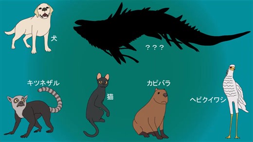 FLOW(映画)を解説してみました。