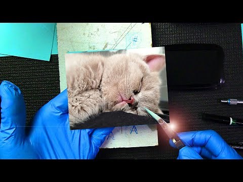 ASMR Handmade Ink Block Printing