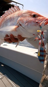 18K views · 2K reactions | Nomad Design Tackle on Reels | Facebook