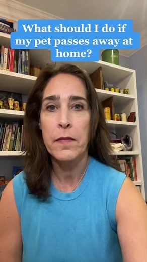 Coping with Pet Loss: What to Do if Your Pet Dies at Home