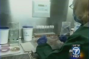 Deadly E.coli outbreak spreads to Europe, U.S.
