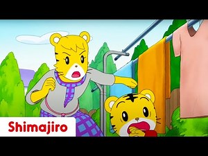 He Was Just Trying to Help... 😕 Apology | kids videos for kids | Shimajiro