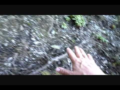 Ancient Indian Shell Midden Site - California