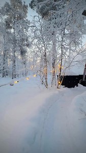 Last hours of next season opening Early Bird promo codes on our accommodation, Arctic Spa and Lapland ebook. If you have not receive yet our newsletter with the next season opening codes, remember to sign up to our newsletter on our website. 📍Levi Foxfires #visitlapland #lapland #snowytrees | Levi Foxfires
