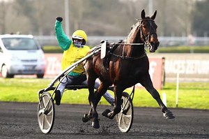 Pronostic PMU Quinté  Prix de France Speed Race, Prix d'Amérique Races ZEturf. VIVID WISE AS, le tenant du titre