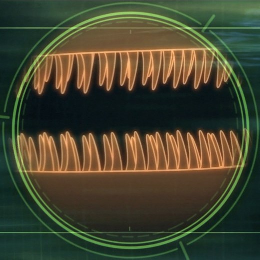 440K views · 6.3K reactions | The Most Terrifying Fish with SHARP TEETH 醴 From human-like grinders to razor-sharp teeth that can cut you open in seconds, Jeremy Wade goes head-to-head with some of the craziest toothy fish in the water  #rivermonsters #jeremywade #fishing | River Monsters Global | Facebook