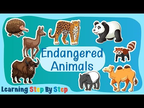 ABC Endangered Animals | Interesting and Educational Endangered Species Facts