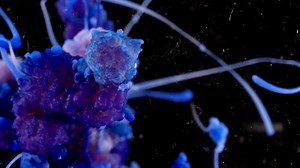 Chemistry in Ultra HD shows science like you've never seen it