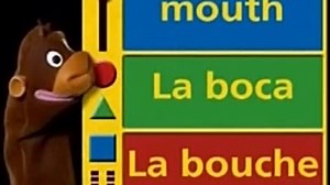 Baby Einstein - Baby Da Vinci - De La Cabeza A Los Pies