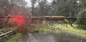 Strong Storms Roll Through State, Taking Out Trees and Wires