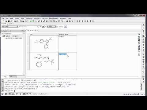 ICM Molecular Editor Tutorial