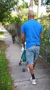 🐕 Los Angeles Dog Owners ⚠️ Our evaluations give you the tools you need to start your dog's transformation today! 👉 | Cali K9
