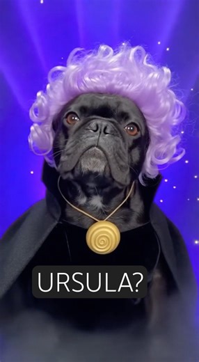 The Little Mermaid Gets a Dog Makeover #dogs #disney #adorable