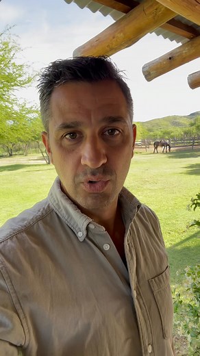 8.8K views · 409 reactions | Dia de la música. ¿Sabías la historia de Santa Cecilia? Feliz día a todos los músicos (muchísimos amigos) que tengas una linda jornada. ¿Qué música escuchas? | Juan Manuel Rigau | Facebook