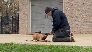 Frankie’s first intro to tracking article | Larry Krohn