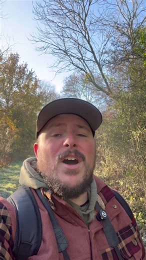 Finding the most Beautiful British Garden Bird