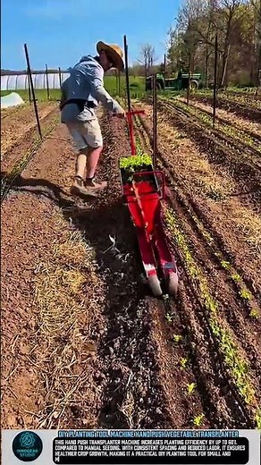 DIY Planting Tool Machine Hand Push Vegetable Transplanter