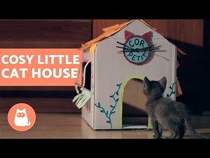 DIY Cardboard Cat House - Easy tutorial!