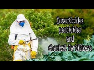 INSECTICIDES PESTICIDES AND CHEMICAL FERTILIZERS | ISC CHEMISTRY PROJECT ON INSECTICIDES PESTICIDES