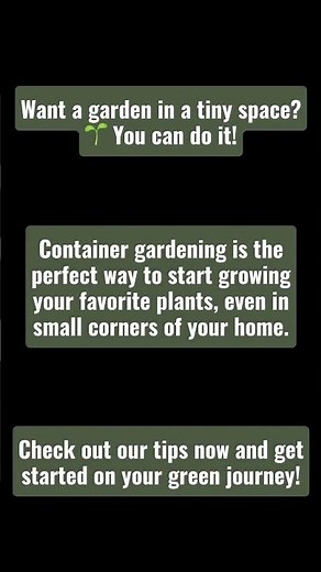 5 Tips to Start a Container Garden for Beginners!