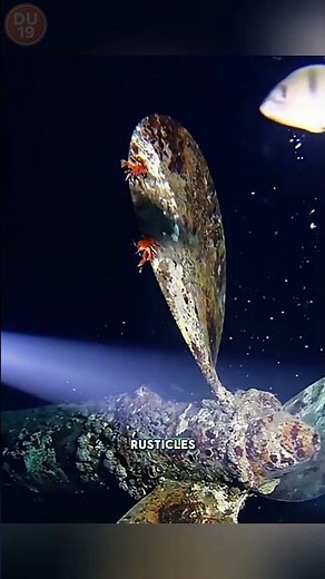 3800 Meters Down: The Truth About the Titanic They Never Told You!